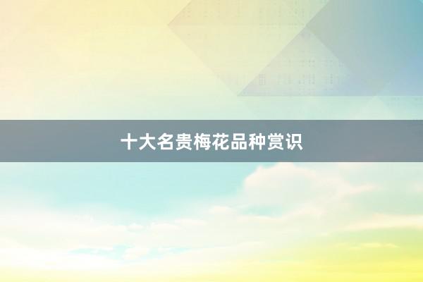 十大名贵梅花品种赏识