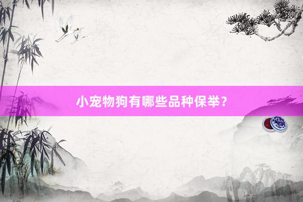 小宠物狗有哪些品种保举？