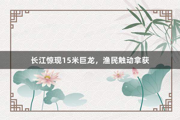 长江惊现15米巨龙，渔民触动拿获